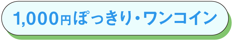 1,000円ぽっきり・ワンコイン