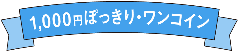 1,000円ぽっきり・ワンコイン