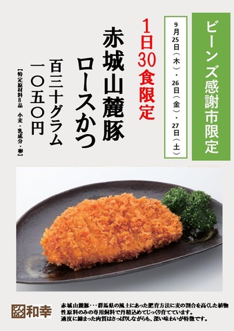 ちゃんかつさん専用 つーちゃんさん専用 アイカツカード 3種セット 12